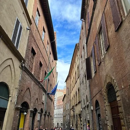 Domus An- Two Bedrooms -antique And Historical Апартаменти