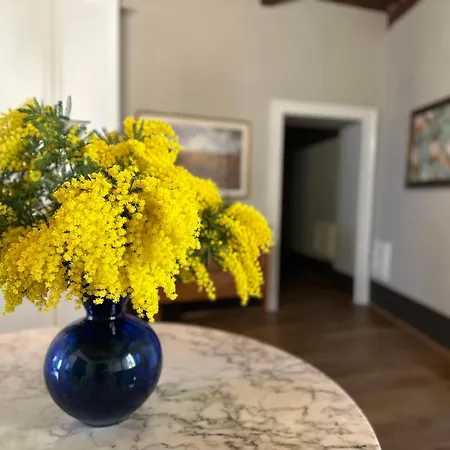 Domus An- Two Bedrooms -antique And Historical