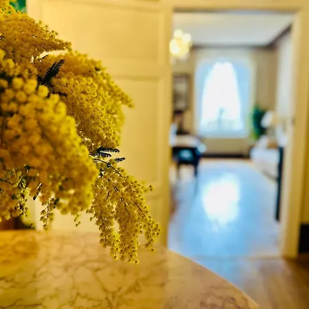 Domus An- Two Bedrooms -antique And Historical شقة سيينا